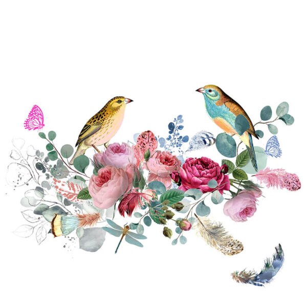 Birds and roses